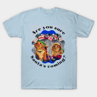 Are you sure Santa's Coming? T-Shirt